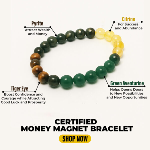 certified money manifest bracelet