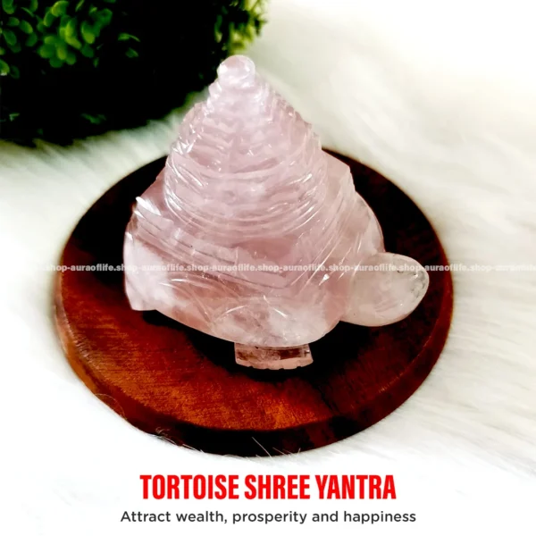 Rose Quartz Tortoise Shree Yantra